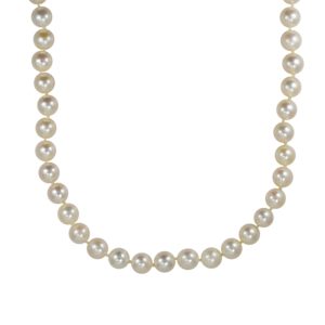 14K Yellow Gold Pearl Necklace
