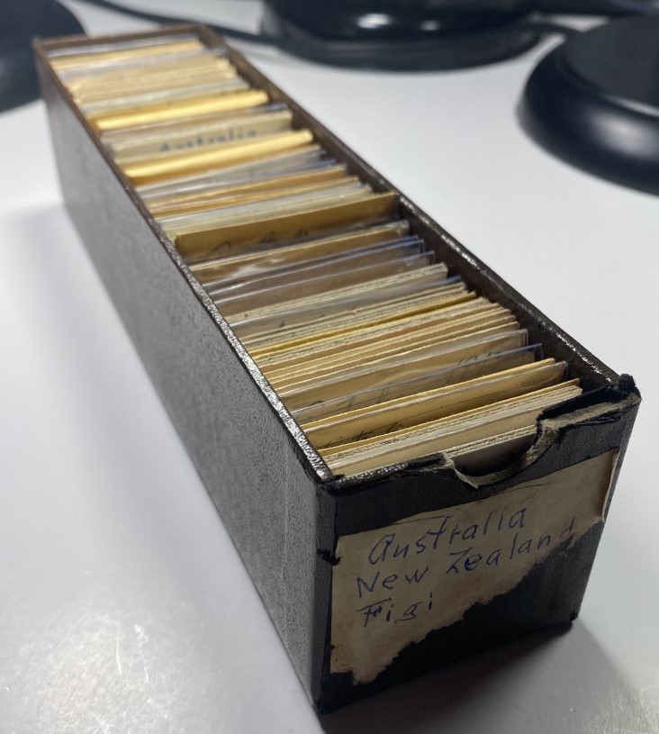 Old Collection of Australia and New Zealand Coins 19th-20th Century Silver Included