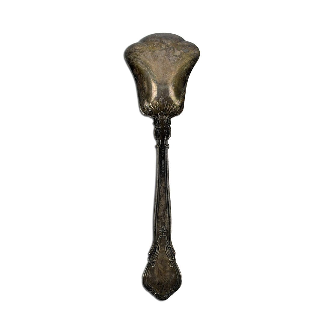 Chantilly by Gorham Sugar Shell Spoon Sterling 6" - Image 2