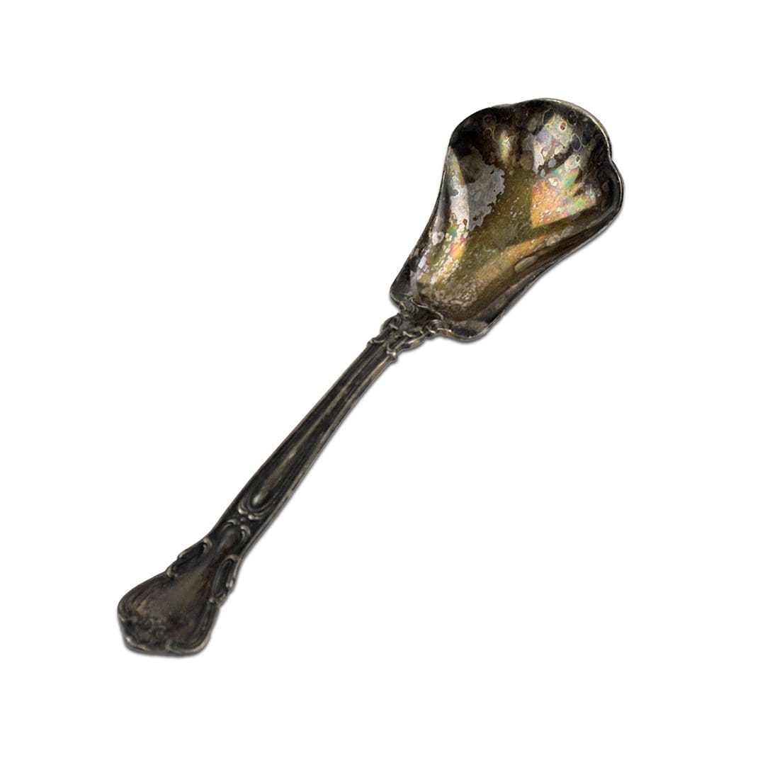 Chantilly by Gorham Sugar Shell Spoon Sterling 6" - Image 4